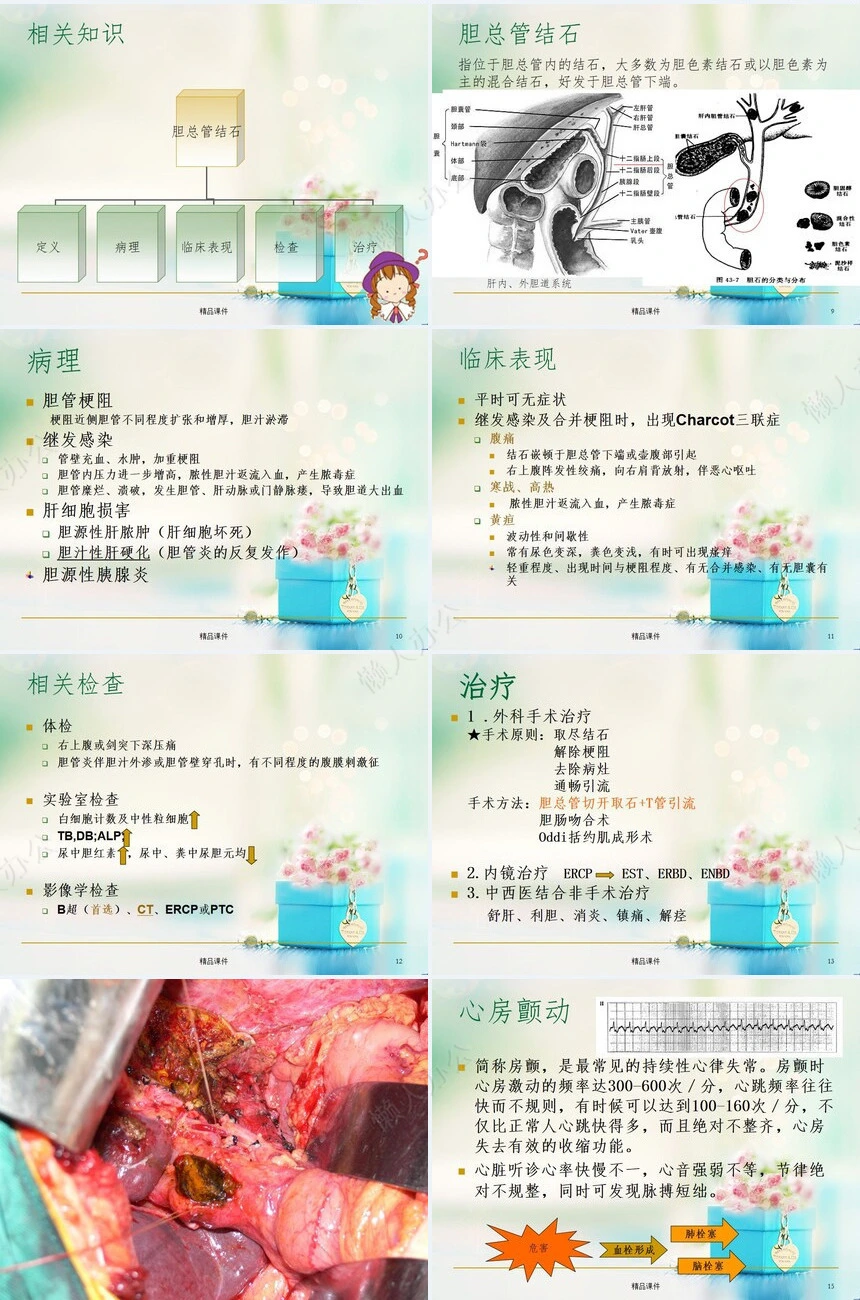 胆总管结石护理ppt课件