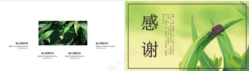 二十四节气惊蛰通用PPT模板(21)