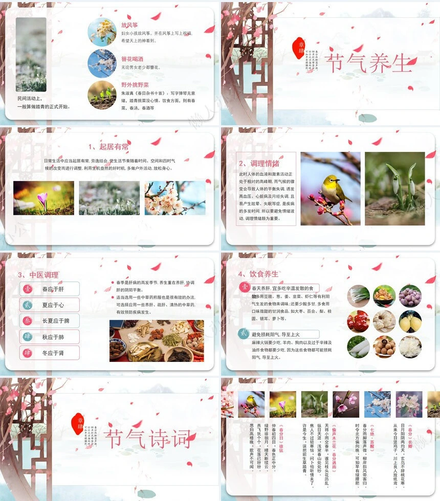 二十四节气春分通用PPT模板(42)