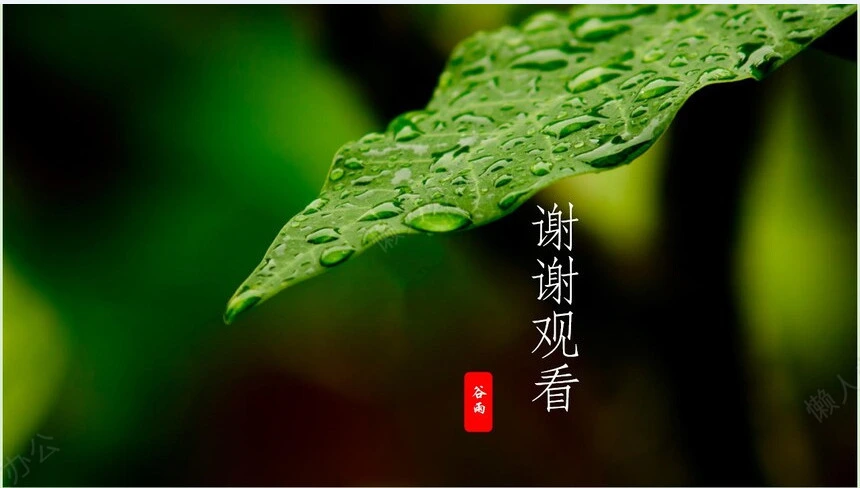 二十四节气谷雨通用PPT模板(45)
