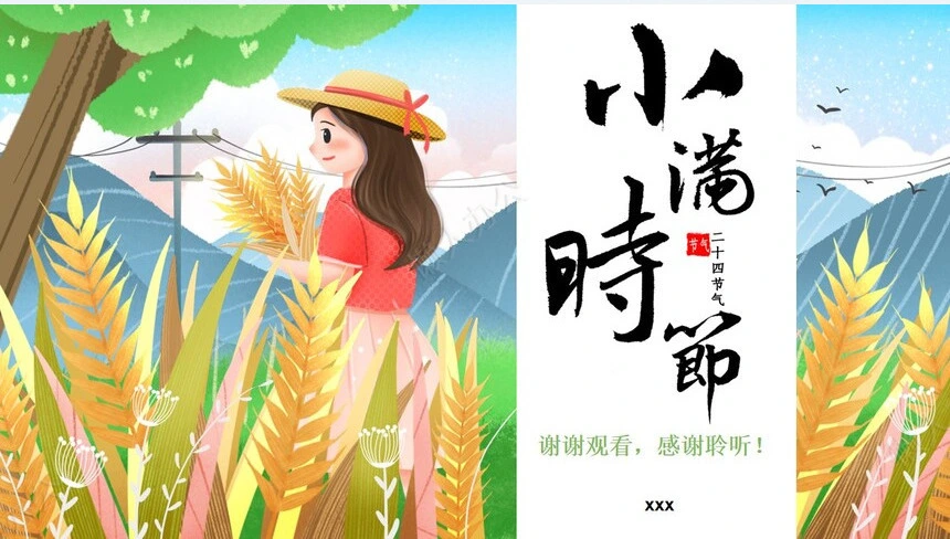二十四节气小满通用PPT模板(13)