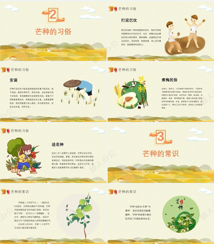 二十四节气芒种通用PPT模板(11)