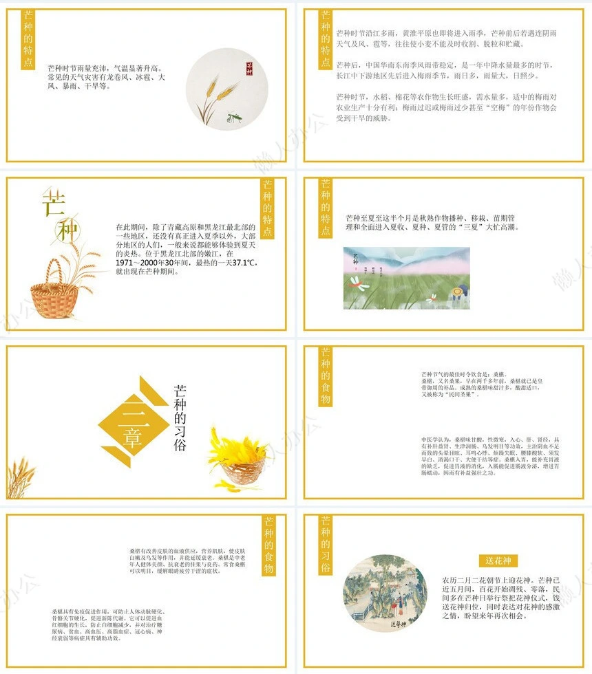 二十四节气芒种通用PPT模板(2)