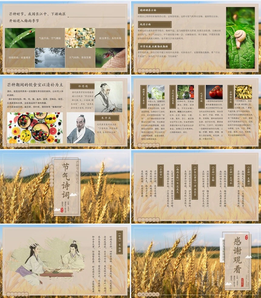 二十四节气芒种通用PPT模板(4)