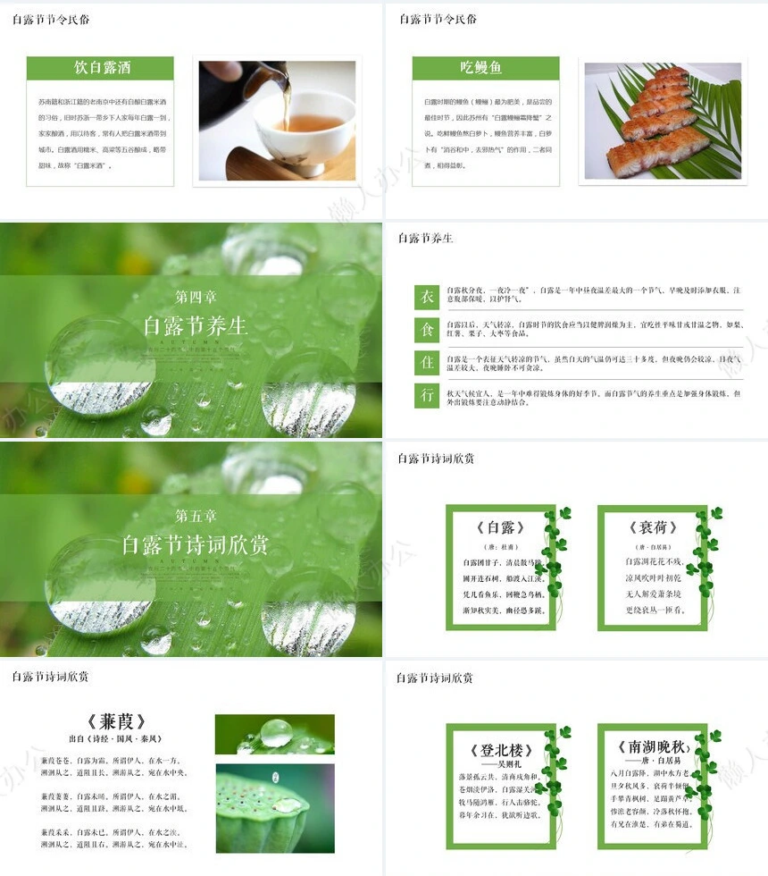 二十四节气白露通用PPT模板(12)