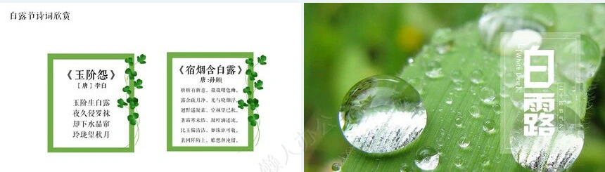 二十四节气白露通用PPT模板(12)