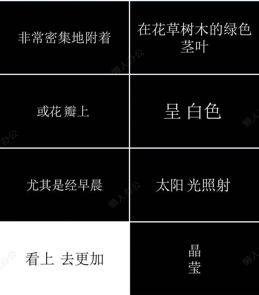 二十四节气白露通用PPT模板(14)
