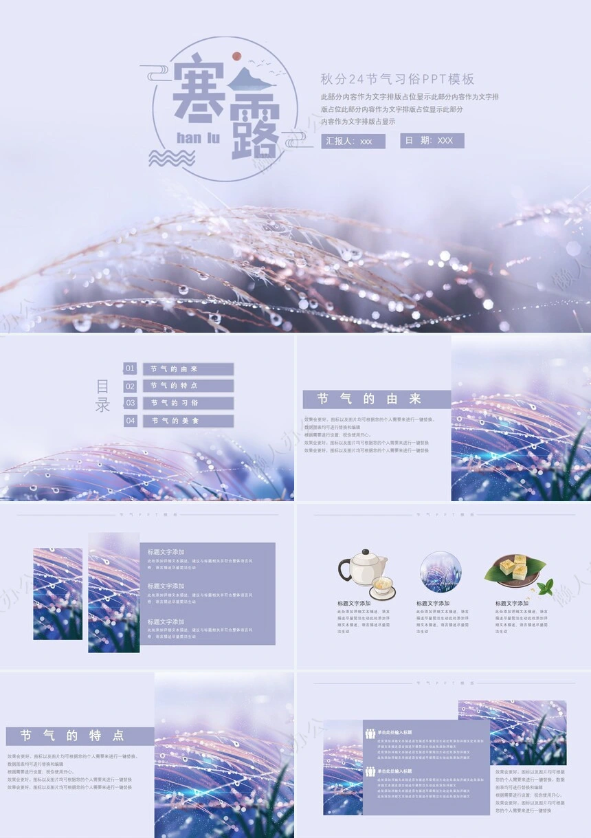 二十四节气寒露通用PPT模板(18)