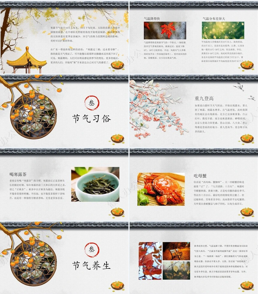 二十四节气寒露通用PPT模板(39)