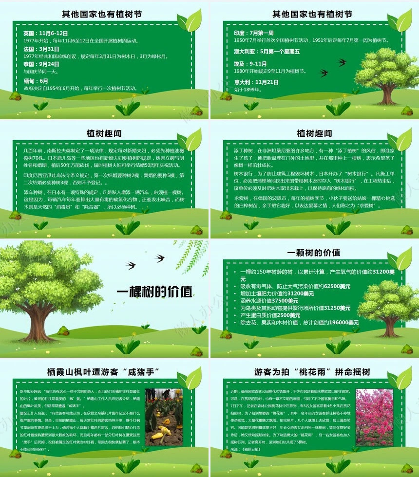 植树节通用PPT模板(49)