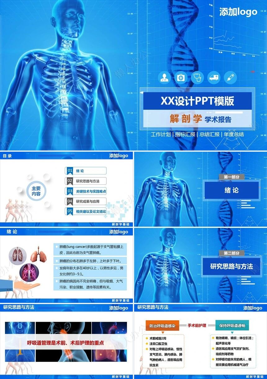 解剖学学术报告工作计划指标汇报总结汇报年度总结