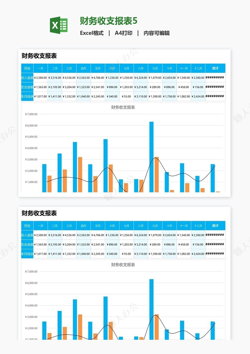 财务收支报表5