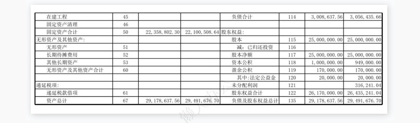 资产负债表(2)