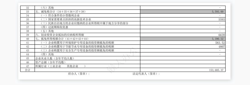 税收优惠明细表