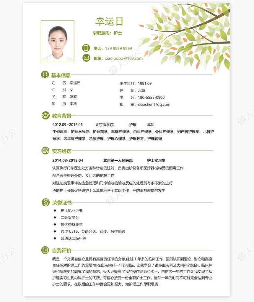 护士类个人简历word模板共4页(16)