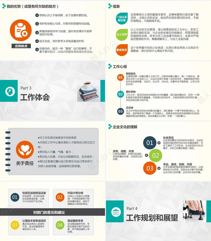 述职报告(12)