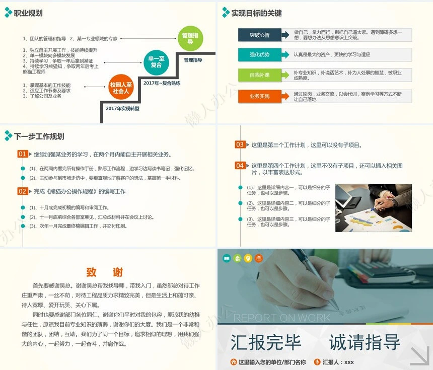 述职报告(12)